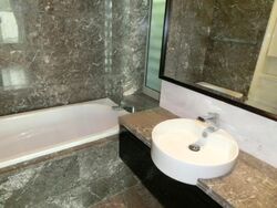 The Solitaire (D10), Condominium #467693401